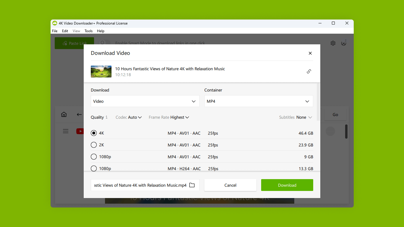 4K Video Downloader